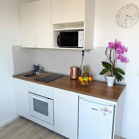 아파트 Marina 챠브타트